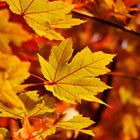 ���갮ɹ���С���һ�ε��ൺ֮�� �����߱���ȥ���ĵط�