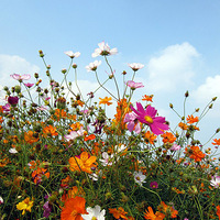 ��һ����֮ǰ����ʱ�ĵģ�