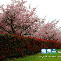 �����ٷְ٣�һ�� ȥ����������ӣ����