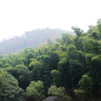 �������ӳ���