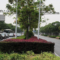 �Ϻ�һ��·װ50��ֻ̽ͷ ����·��