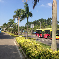 �����У����