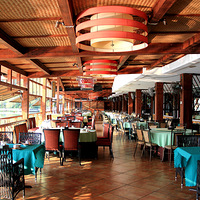 ������԰�������ٲ�������������������������ӡ