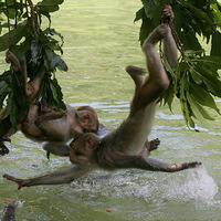 ����ɽ���� ⨺�������ļ�������