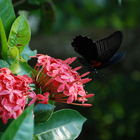 ���ǡ���һ��Ҫ����һ�������߹��ĵط�