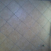 �๤���Ĵ�שɹɹ