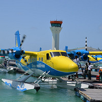 �������Ρ����������������򵺣������Ҿͷ������˰��Ľᾧ