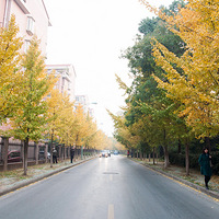 �����ӻ��ˣ�ʱ�����ˣ������Ƿ񶼱��ˡ�