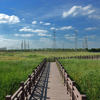 �������������й����������