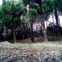 [_zien_����]���Ϻ�С��԰�ڷɰ��������˷��־�����