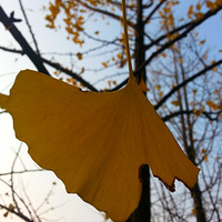 ��������  Ҳȥ����·�������ˡ�