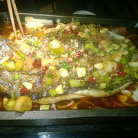 ��������ɽ�����ռǣ�����