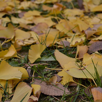 2013.12.07����·���������ӣ��������Ǻ�����ʶ�������