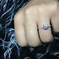 �����ڴ�ŷ�ݸն��Ŀ��ģ�