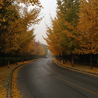 ��������·�Ľ�ɫ���� ������