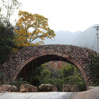 �ĳɡ�ϼ����