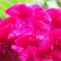 ��һ������������ô��