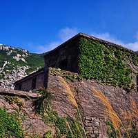 2013�� ���� ��ʮ�˶��� ������