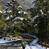 ��ɽ��ѩ��