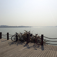 �����տ�������