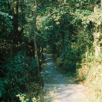 ����Ⱥɽ--ʮ������������