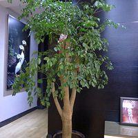 �ף�������ֲ�¹�����¥��������������