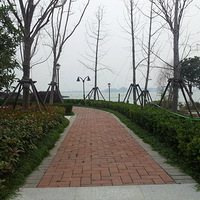 û�¶��й�    ·���ͳ�