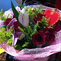 ����Ҫ�ľ�������yes   i  do