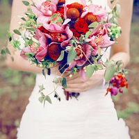 �మ���t��ִԪ����