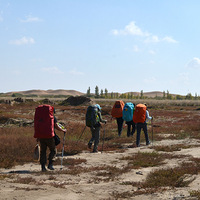   �Ⲽ��ɳĮ�μ�