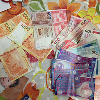 ������ĵ����