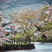 �ձ������Фλ���֮��