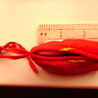 �Լ�������Ь��ʮԪһ˫