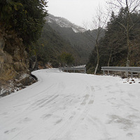 ����ɽ������Ƨ�����������Σ�3��