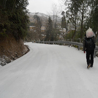 ����ɽ������Ƨ�����������Σ�4��