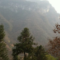 �ϼҹ���������ƬƬ���ͣ�