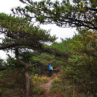 ��¿ �μǡ���γ��ʮ�� ��������ǰ����Ƭ ������Ŀ�ĵ�-��ţ��