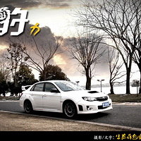 ���С������� --- ����ɰ���