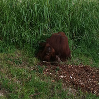 2013-7��(����) �Ĵ����ǳ��� ˳������ ����