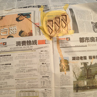 �������������� - -