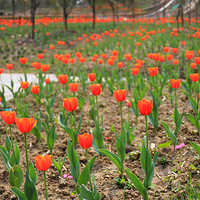 2014���������������ͩ���ɼߗ�������㣡