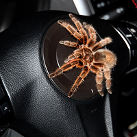 ��ů��������͸���� --- ����ɰ���