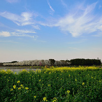 ��ĩȥ����