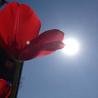 ������Ϣ��������������Ҫ�����������ٺ�