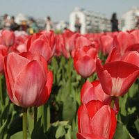 ������;�С�����������ʢ���ĵط�