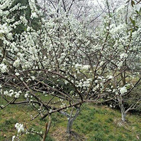 ������;�С���ů������ ��ӣ����ʱ