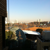 �ձ����������Ǳ߰��׷���ţ�� 