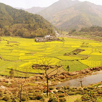  �γʴ� ������ ������ ����ɽ����! 