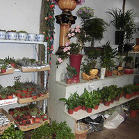 ������;�С�+��ů������ȥ�ºӸ��ܽ���ˮ���������Ϣ~