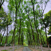 ���˵����˽ڡ���������